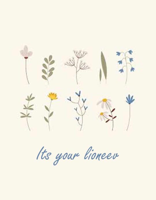 وزنه خیاطی عروسکی، فانتزی راکن کوچولو